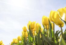 大学入試速報2 大学入試速報2