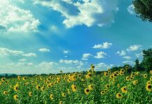 【2022年度 LEO生】 様々な国から帰国した生徒たち 【2022年度 LEO生】 様々な国から帰国した生徒たち