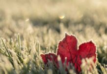 合格速報 LEO 注目画像