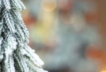 岩成勇輝 LEO 注目画像