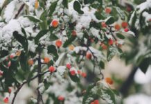 合格速報 1 LEO 注目画像