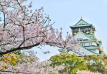 2019年度大学入試ロードマップ LEO 注目画像