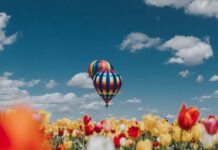 吉祥寺教室 3/8説明会について LEO 注目画像