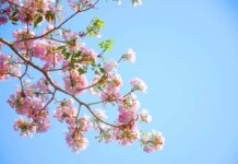 平常授業案内一部改訂 LEO 注目画像