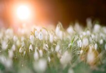 春期講習受付け開始 LEO 注目画像