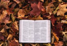 2019年度大学入試情報 LEO 注目画像