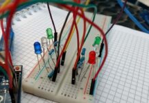 安永葉月(2012年度生) LEO 注目画像