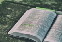 平常授業(1月~3月)申込受付開始 LEO 注目画像