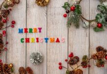 江越瑞穂(2012年度生) LEO 注目画像