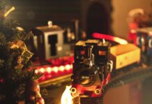 二宮信 LEO 注目画像