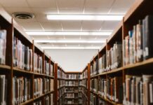 夏休みのお知らせ LEO 注目画像