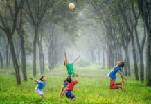 LEO News 3月号 LEO 注目画像