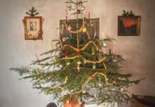 佐野桃子 LEO 注目画像