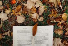 子供は現地校に通うことに、かなり不安を持っています。積極的な子ではないので、とても心配ですが。 LEO 注目画像