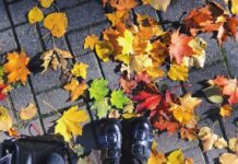 編入試験情報 1 LEO 注目画像